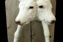 Ripley's Believe It or Not! London